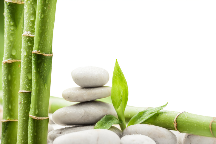 Stone Facial Massage Online Course